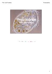 protozoários [Modo de Compatibilidade].pdf