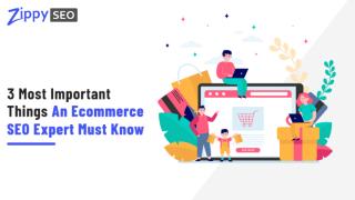 3 Most Important Things An Ecommerce SEO Expert Must Know.pptx