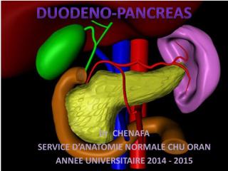 anato2an31-deodeno_pancreas.pdf