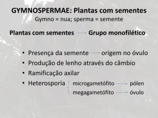 Aula 3 - Gymnospermae.pdf