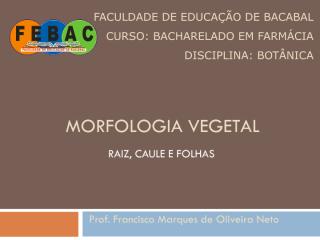 Aula 4 Morfologia Vegetal parte 1.pdf